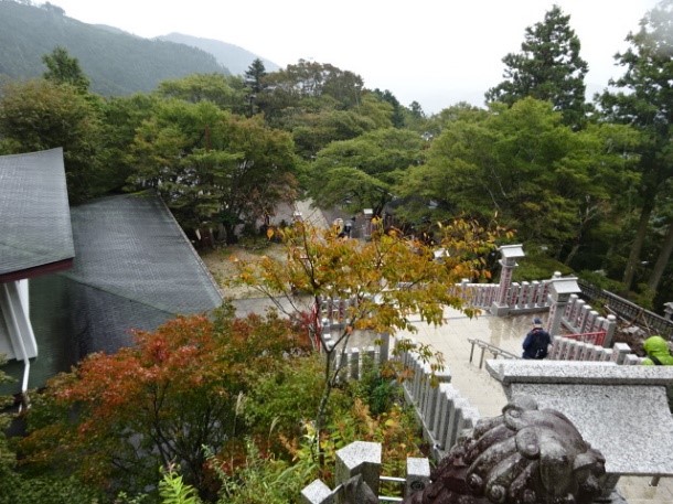 251025阿夫利神社下社
