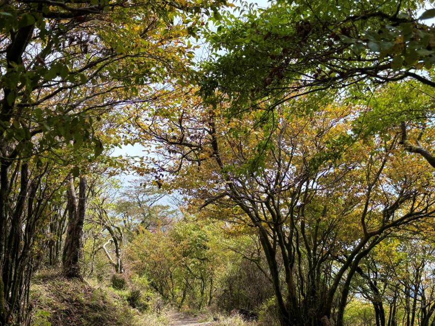 251028大山山頂周辺
