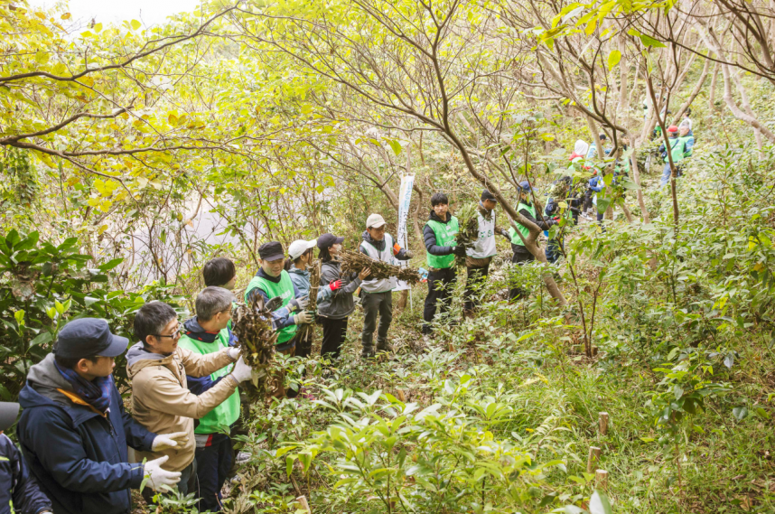 めぐりの森育樹祭の写真