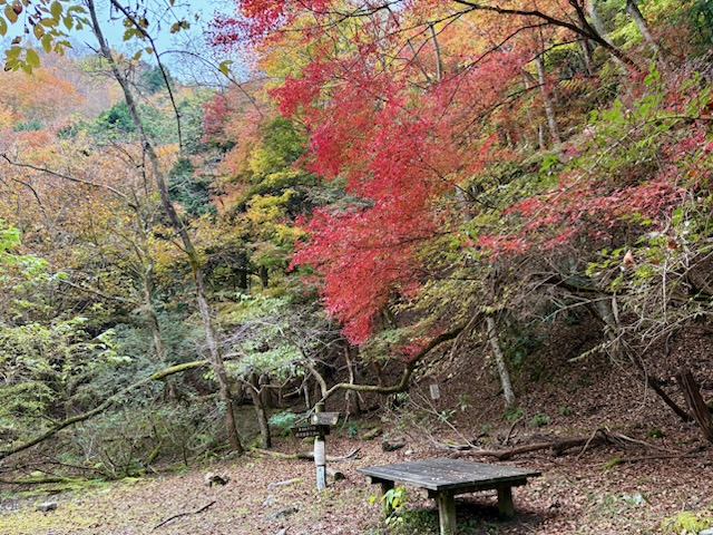 111301_aze_nishizawa