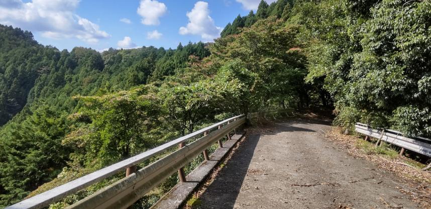 令和7年10月30日三ノ塔尾根牛首立周辺