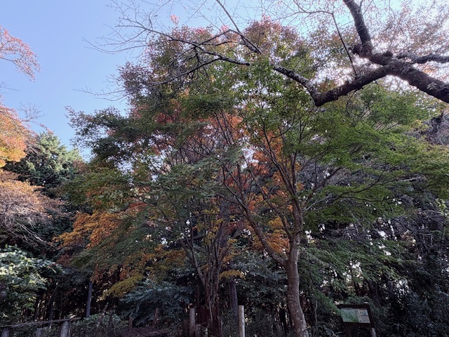 令和7年11月3日明王峠