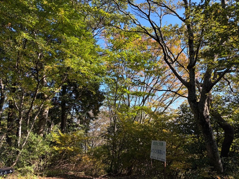令和7年11月3日高取山(秦野市)