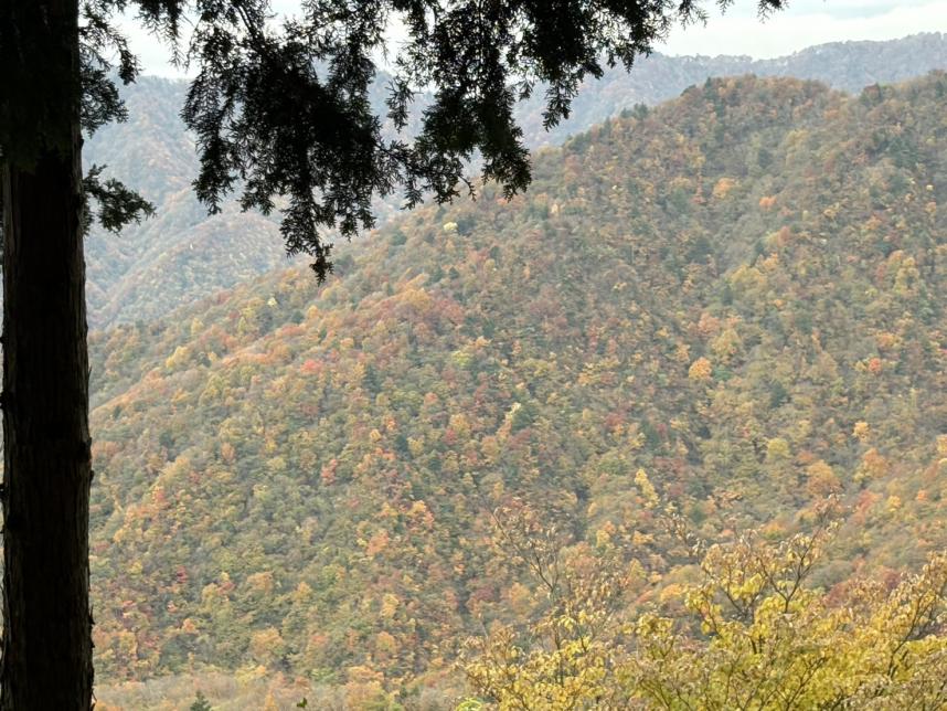 令和7年11月5日平丸標高約1100メートル2