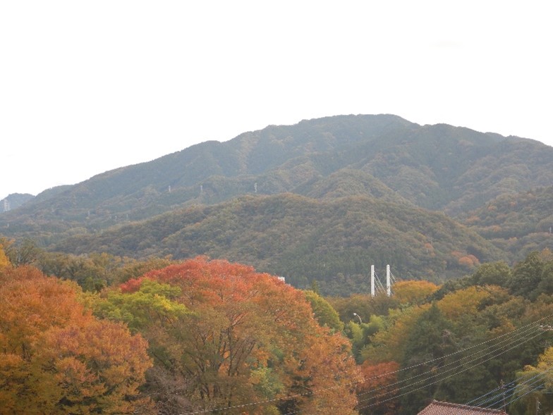 令和7年11月6日奈良本林道から石老山方面