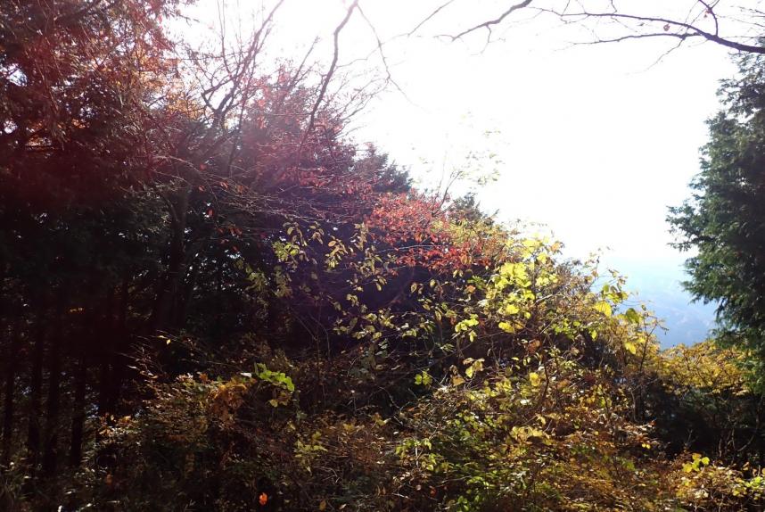 令和7年11月18日石老山山頂