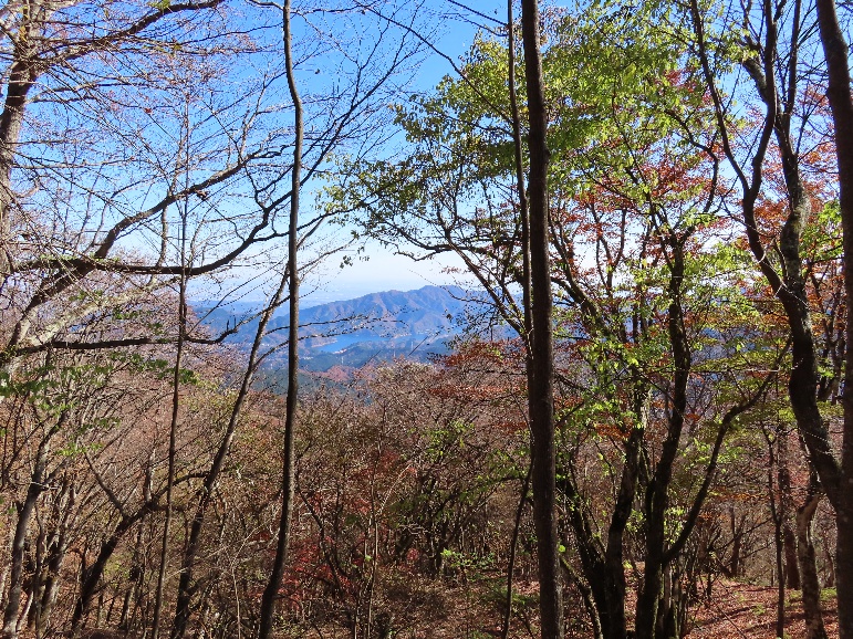 11月21日焼山標高約1100メートル