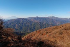 11月22日25丁目からの展望落葉