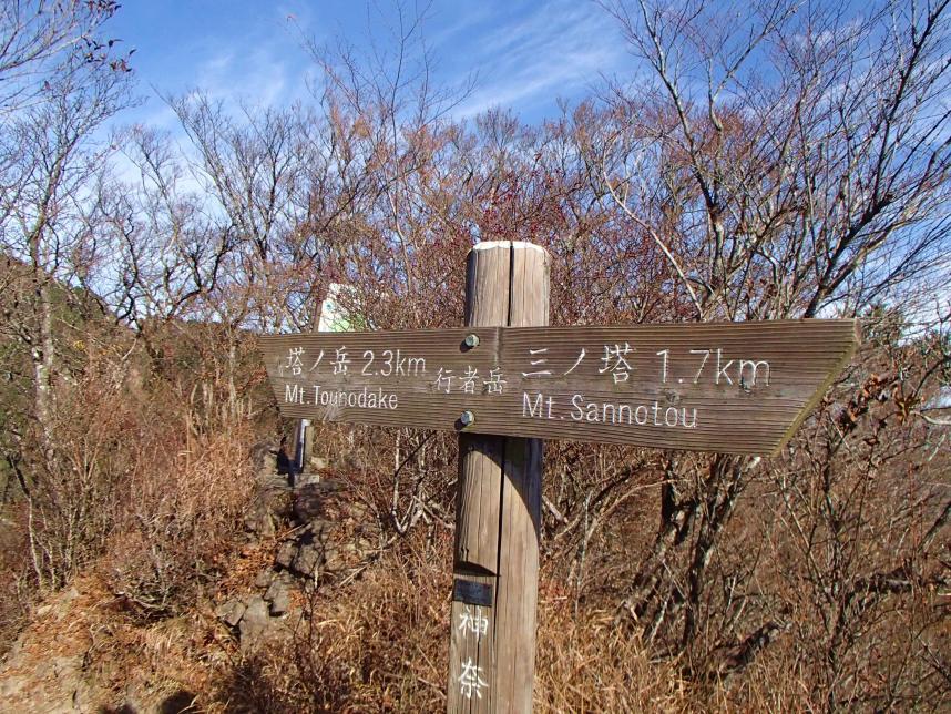 11月24日業者ヶ岳山頂落葉