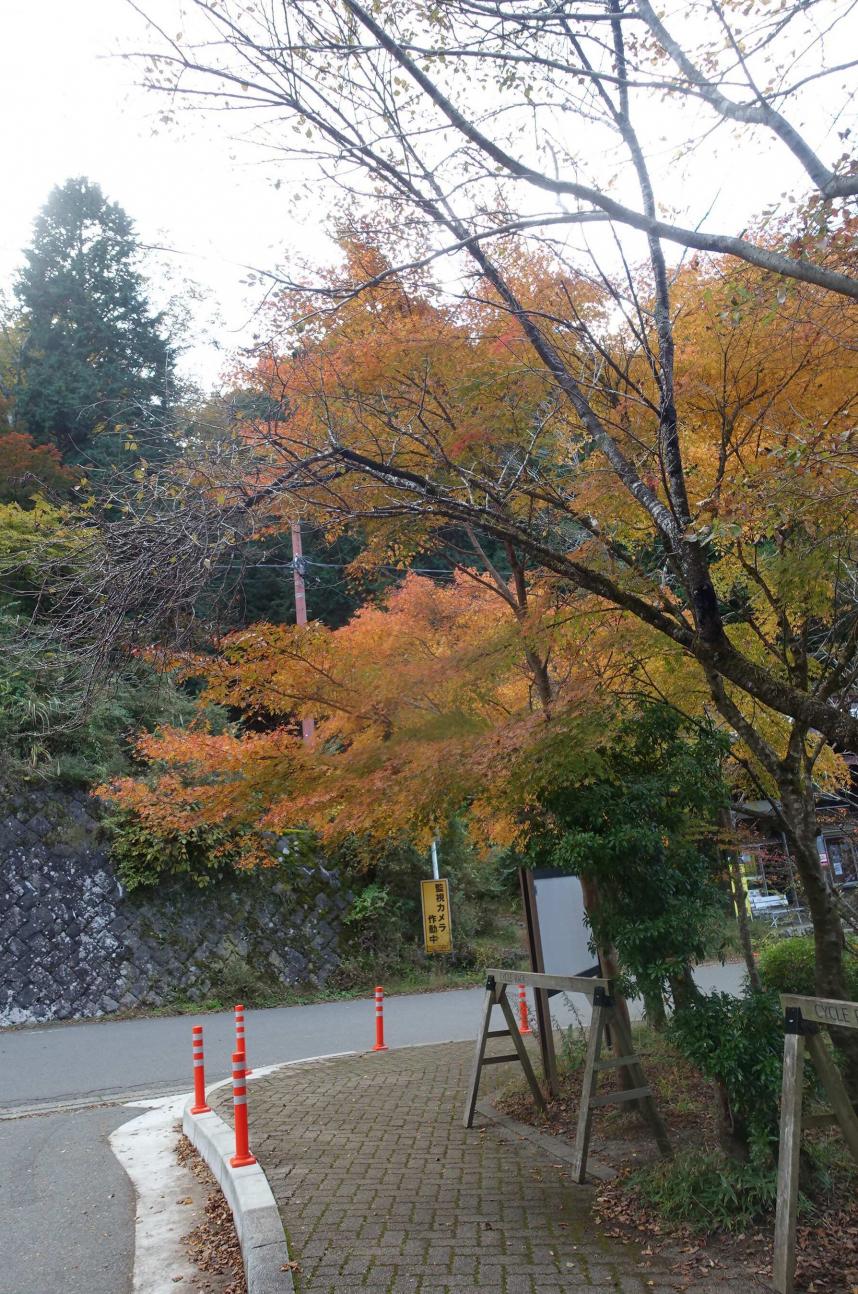 令和7年11月3日ヤビツ峠周辺