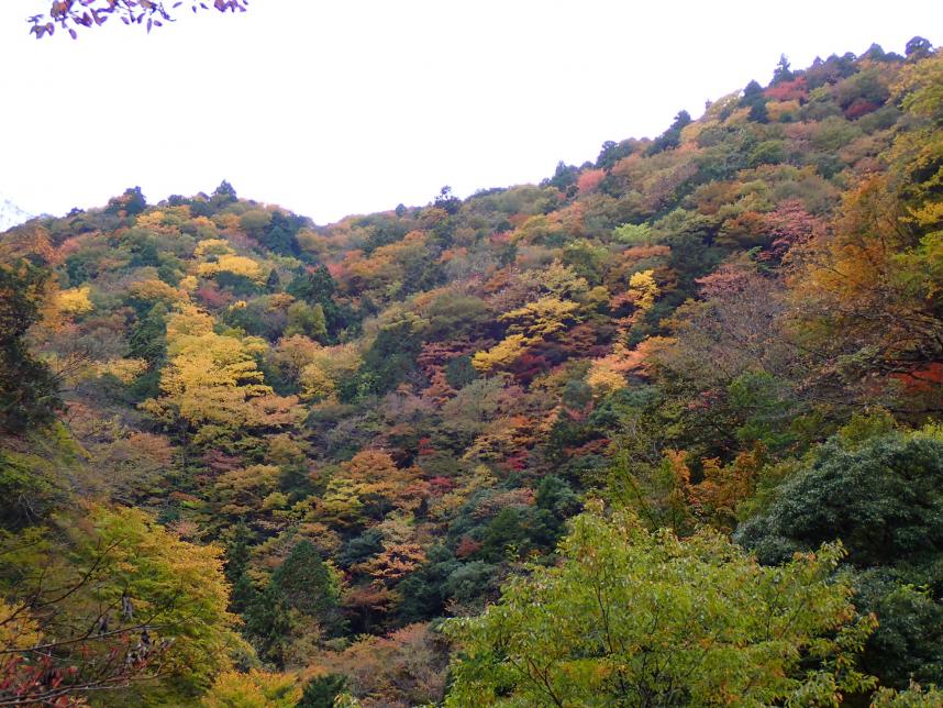 令和7年11月6日塩水橋周辺