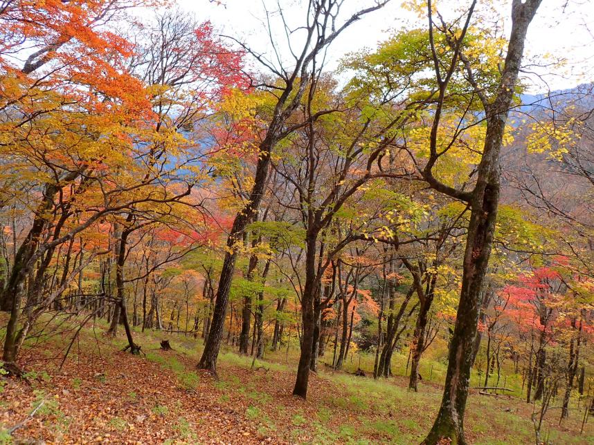 堂平標高約1000メートル