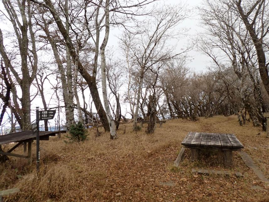 11月19日加入道山山頂