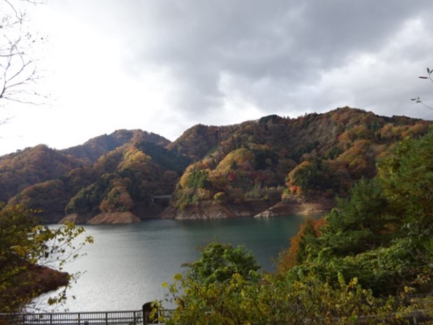 251119宮ヶ瀬湖周辺