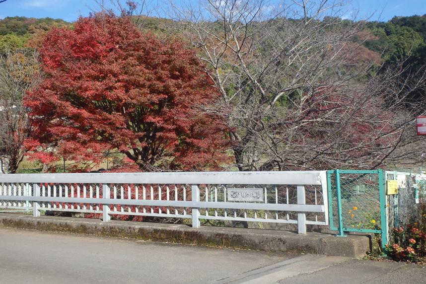 11月21日順礼峠登山口周辺