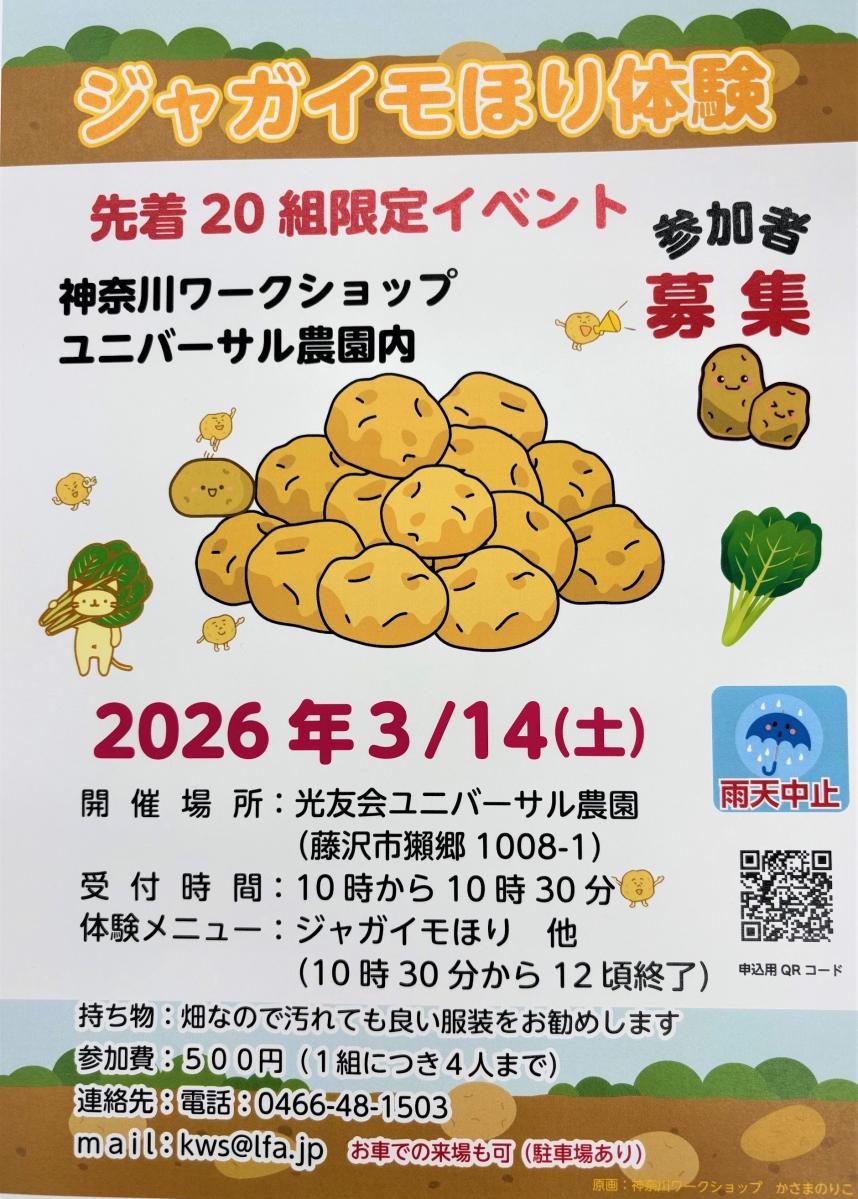 じゃがいもほり