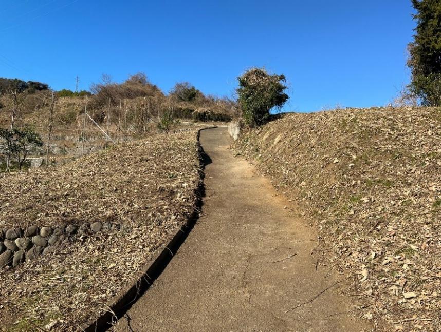 荒廃農地復旧事業_整備後 (小田原市)