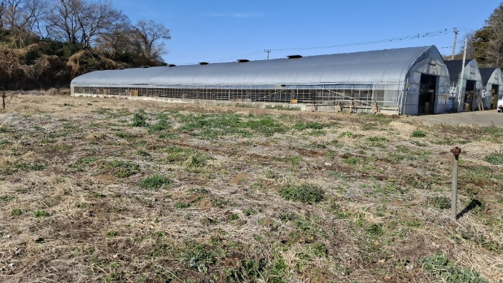 飼料畑貸借等推進事業_施工中(藤沢市)