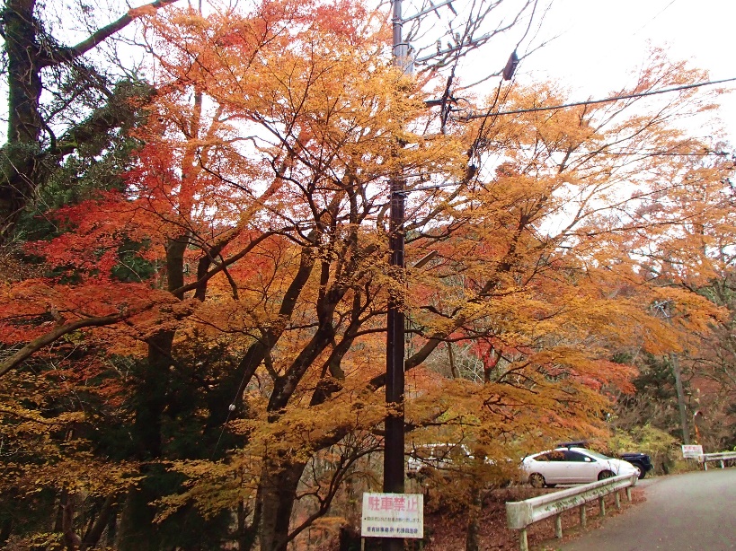 1203_100_03_nagaotozanguchi