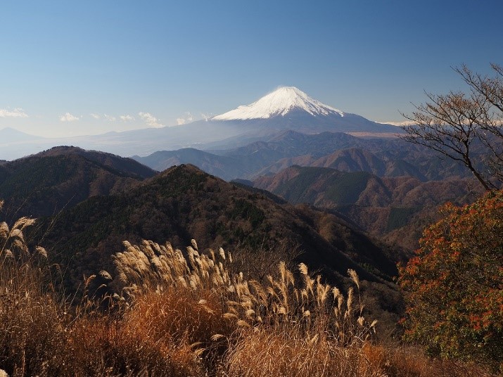 11月28日鍋割山山頂