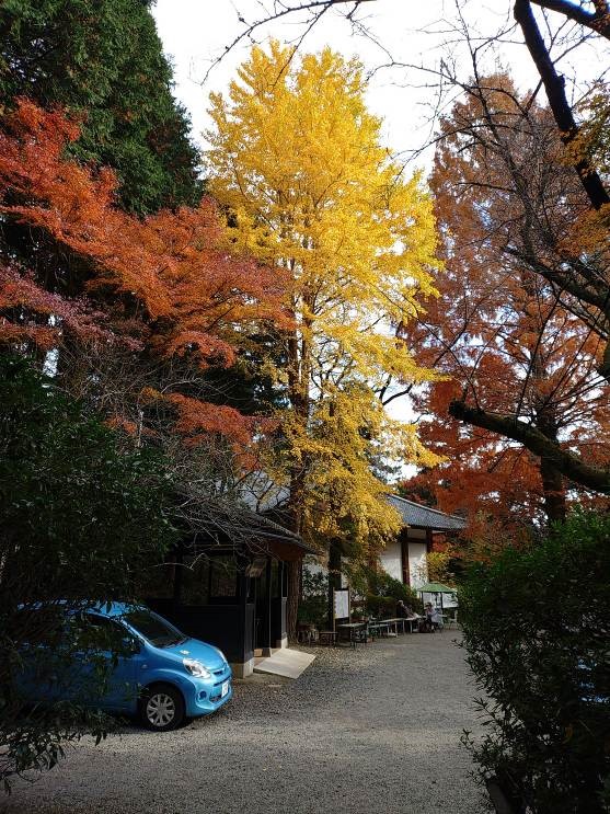 11月29日日向薬師周辺