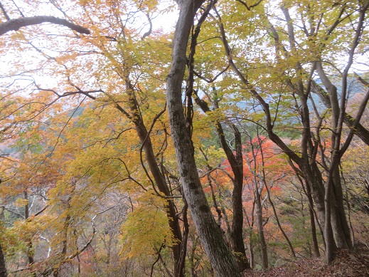 11月29日三ノ塔牛首周辺
