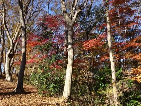 令和7年12月7日浅間山山頂
