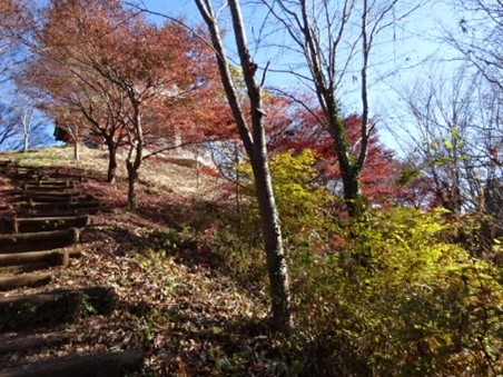 令和7年12月7日権現山(秦野市)山頂