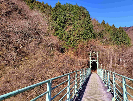 ビジターセンター周辺