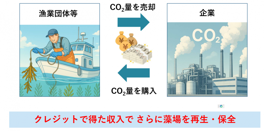 クレジットイメージ図