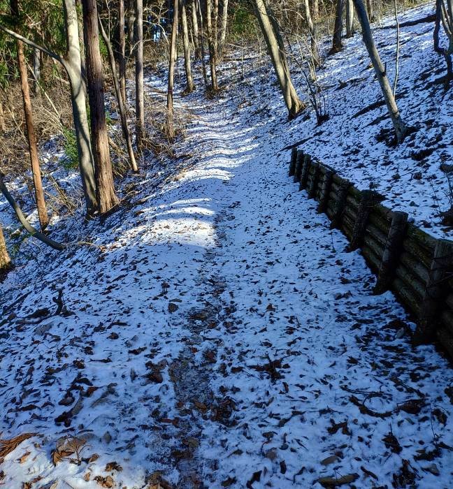 1月4日陣馬山中腹