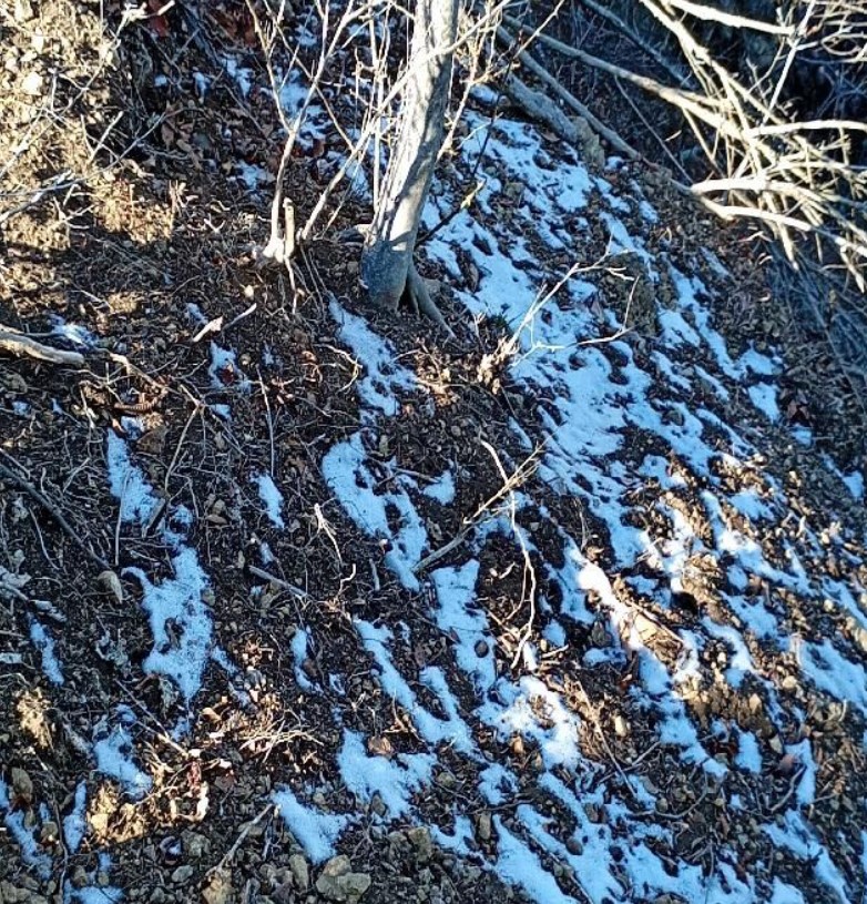 令和8年1月10日仏果山山頂周辺