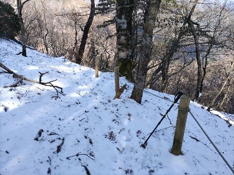 令和8年1月24日長尾尾根標高約1250メートル