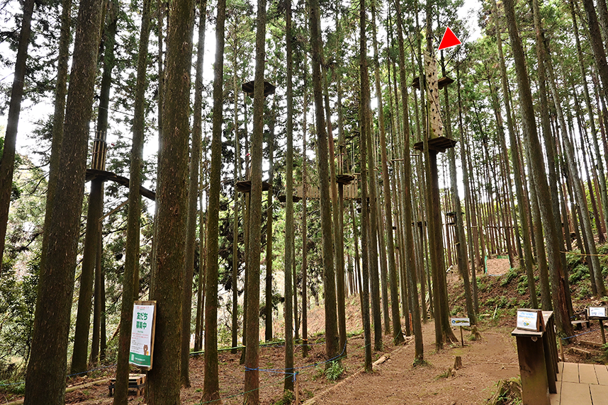 ツリークロスアドベンチャーの最高点