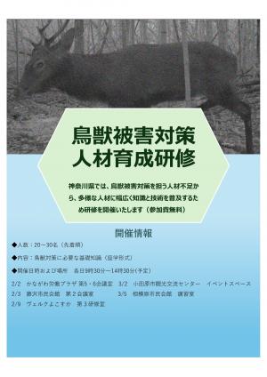 研修ちらし画像