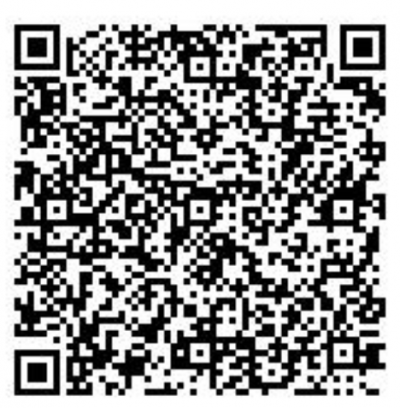 zisatutaisakukensyuukai