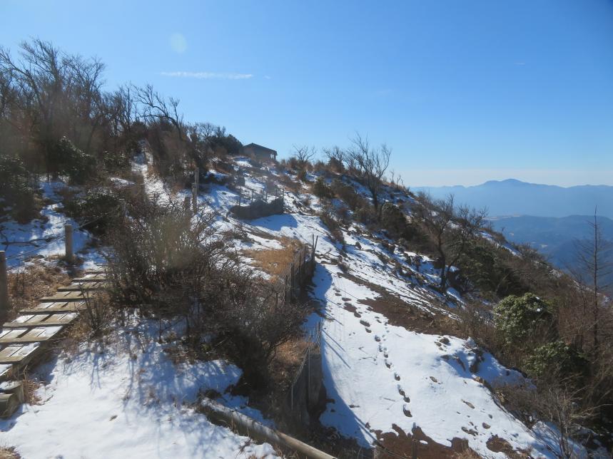 20260204sannotooneTop