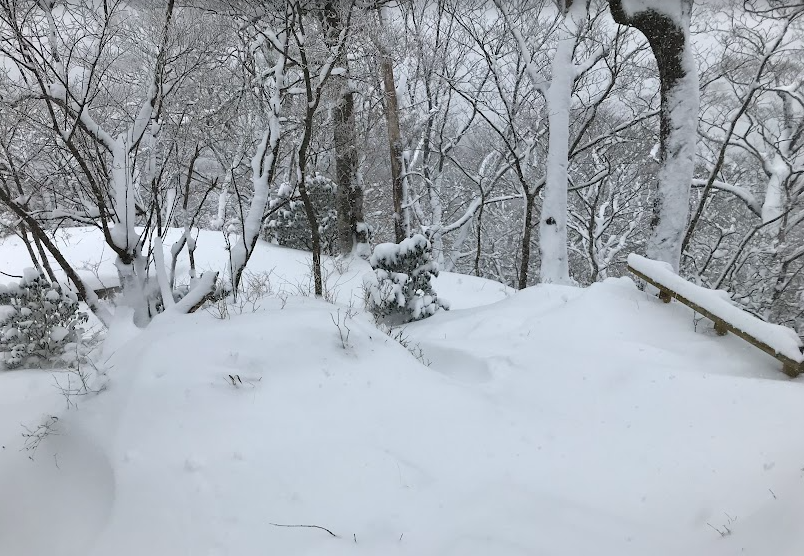 塔ノ岳山頂周辺