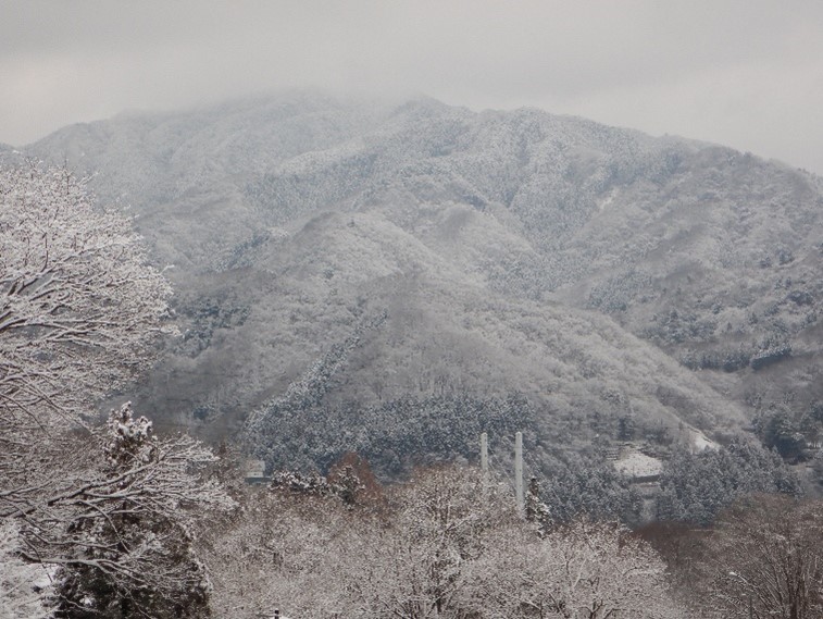 奈良本からみた石老山