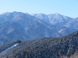 南山から見た蛭ヶ岳方面