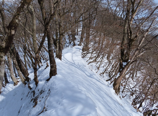 中ノ丸周辺標高約1200メートル