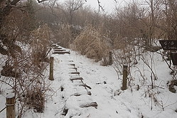 三ノ塔山頂周辺