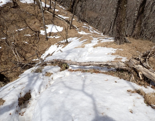 犬越路と山頂の間