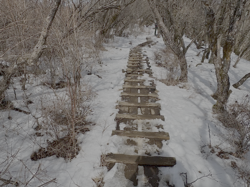 三ノ塔山頂周辺
