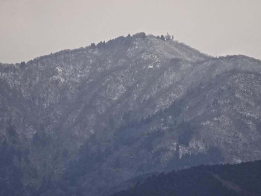 伊勢原市からみた大山