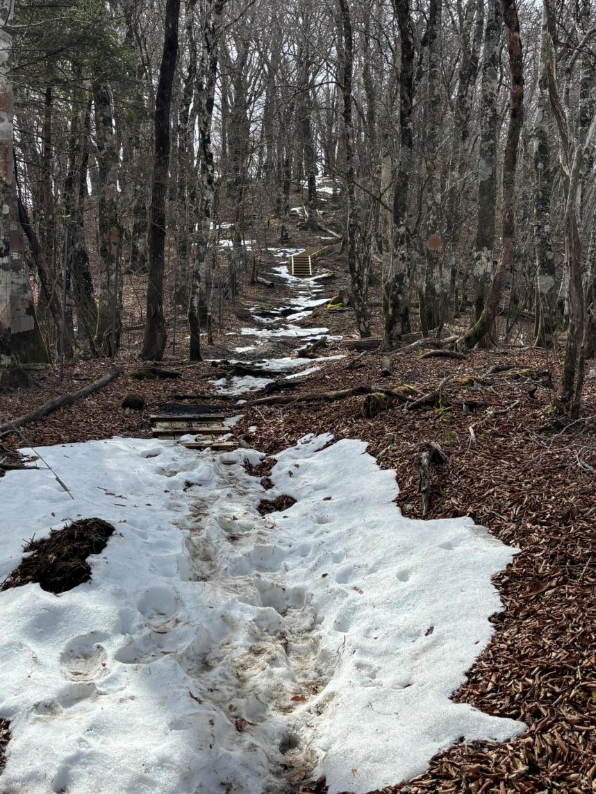 菰釣山山頂と避難小屋の間