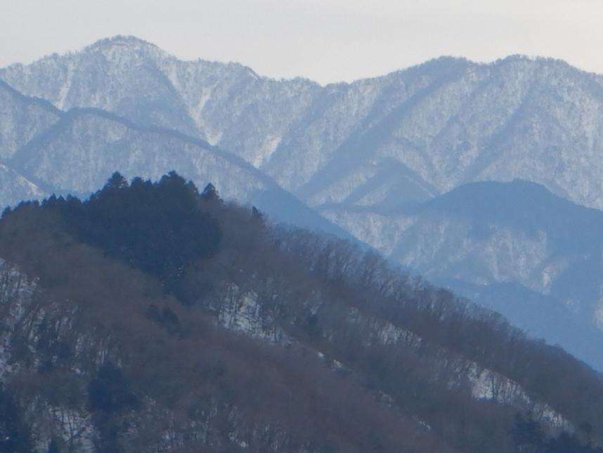 奈良本から見た檜洞丸