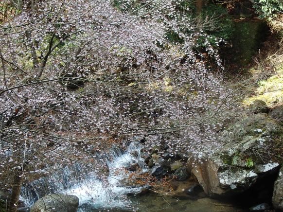 3月27日谷太郎周辺