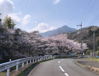 3月30日広沢寺