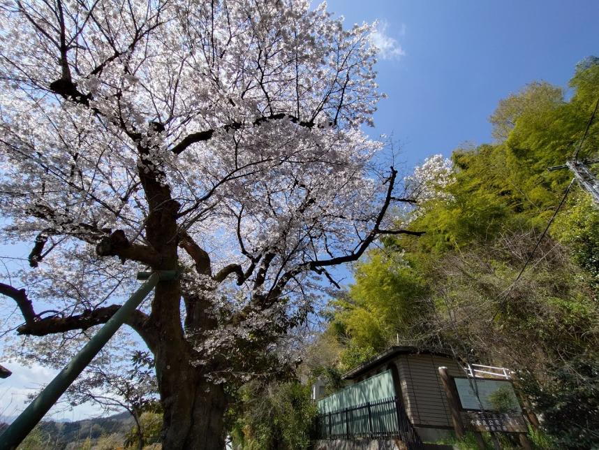 千木良登山口